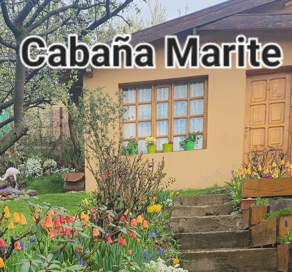 Imagen 1 del servicio