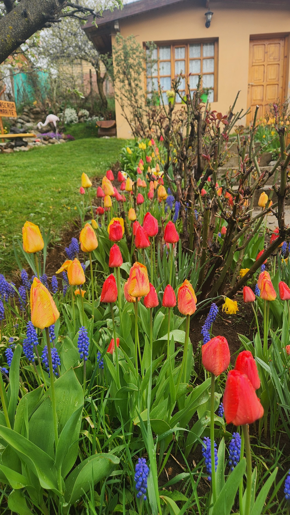 Imagen 2 del servicio